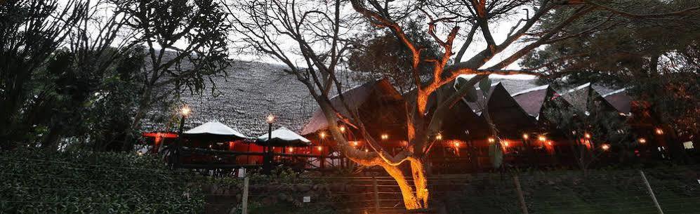 Mara River Lodge Aitong Екстериор снимка
